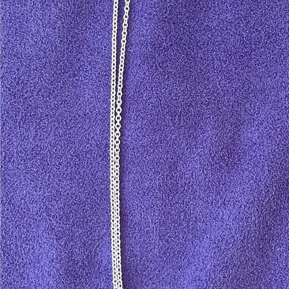 Tiffany & Co. Peretti “L” (1.5") with 18" Peretti chain - Picture 3 of 3